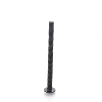 1737.0 Pozi Screw Ø6x80 MTX...
