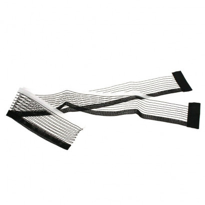 3819 Evolutive Net