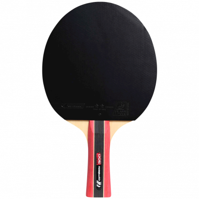Sport 300