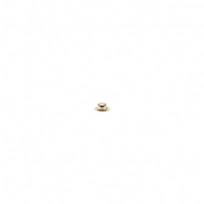 2201 Ø12 Cap Clips