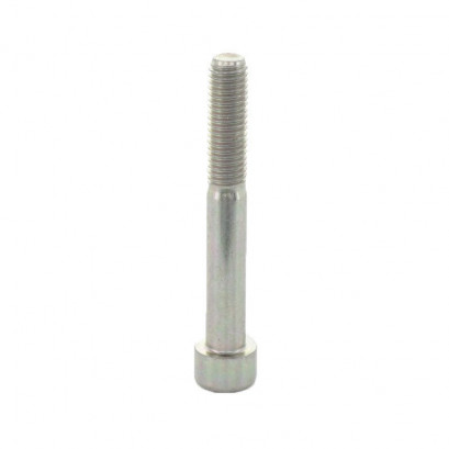 1301 Screw 8.8 Ø10x25 ZG...
