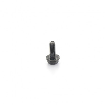 1705.0 Screw Ø6x16 MTX RL Z...